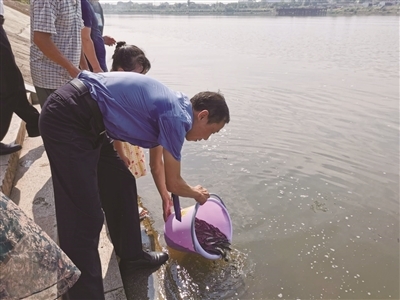 增殖放流助推生態(tài)環(huán)境修復(fù)