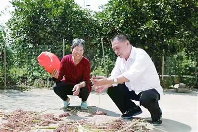 “退休了，也要做永不停歇的‘老黃牛’” ——記株洲市紀(jì)委監(jiān)委原調(diào)研員陳和平