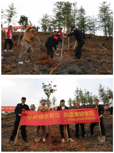 共筑綠水青山，平江法院在行動 ——平江法院開展義務(wù)植樹活動