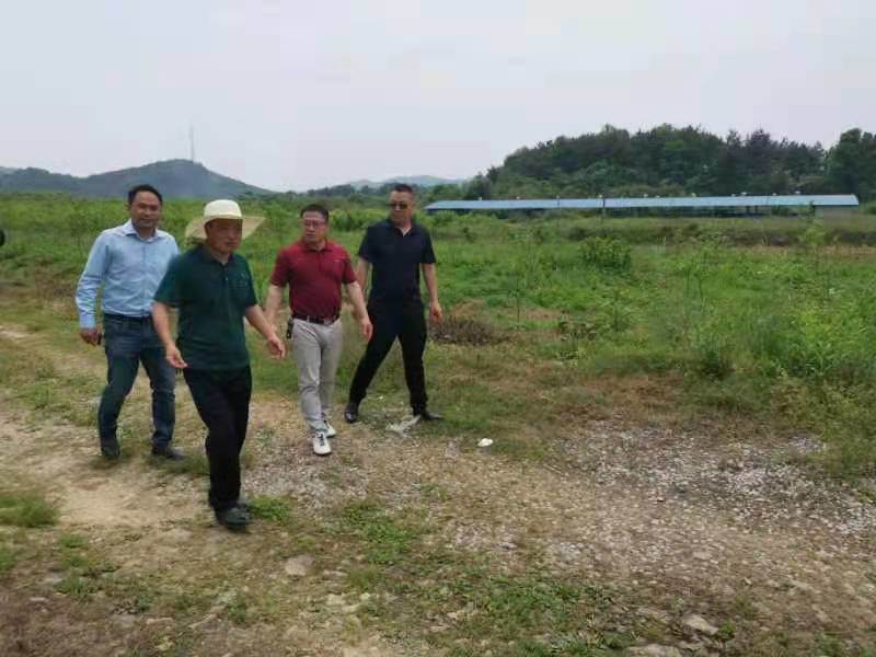 隆回县北山镇“点线面”联动 打造乡村产业振兴新引擎_邵阳头条网