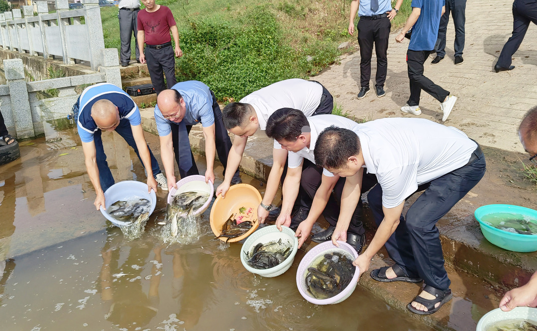 雙峰檢察：5萬尾魚苗入湄水河