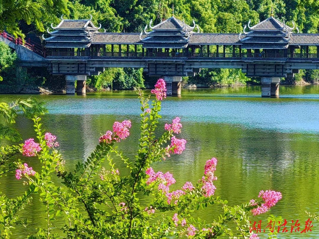 手机实时 抓拍 公园美 游人旺 须打假 湖南法治报 手机实时 抓拍 公园美 游人旺 须打假 湖南法治报