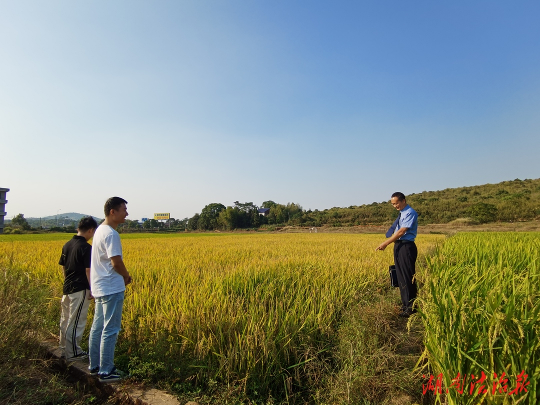 安仁檢察：一個(gè)機(jī)制+23份檢察建議=43畝耕地回歸