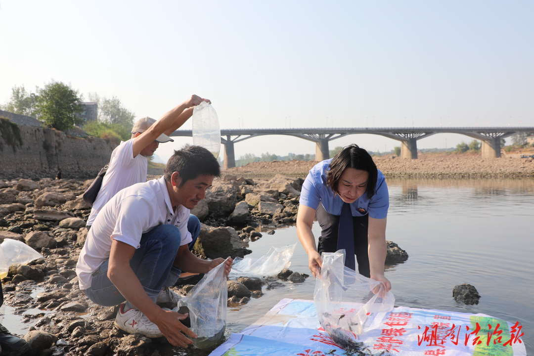 辰溪檢察：增殖放流+公開(kāi)聽(tīng)證，萬(wàn)余尾魚(yú)暢游辰水