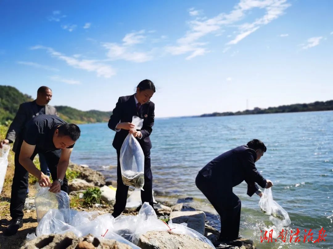 公益訴訟促修復 增殖放流護生態(tài)——湘潭縣檢察院對一起非法捕撈水產品案件開展增殖放流活動