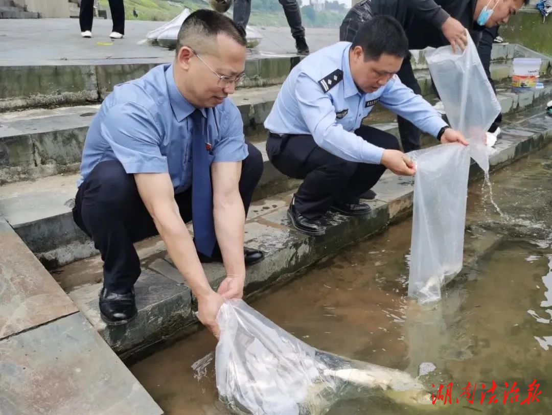 中方檢察：增殖放流修復(fù)生態(tài)