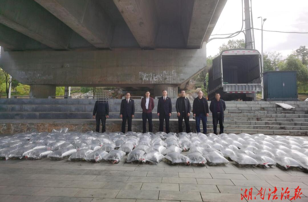 增殖放流，舞水河畔一堂生動(dòng)的法治課