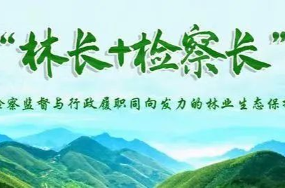 武陵區(qū)人民檢察院與區(qū)林長(zhǎng)制工作委員會(huì)辦公室聯(lián)合出臺(tái)《關(guān)于建立“林長(zhǎng)+檢察長(zhǎng)”工作機(jī)制的實(shí)施意見》