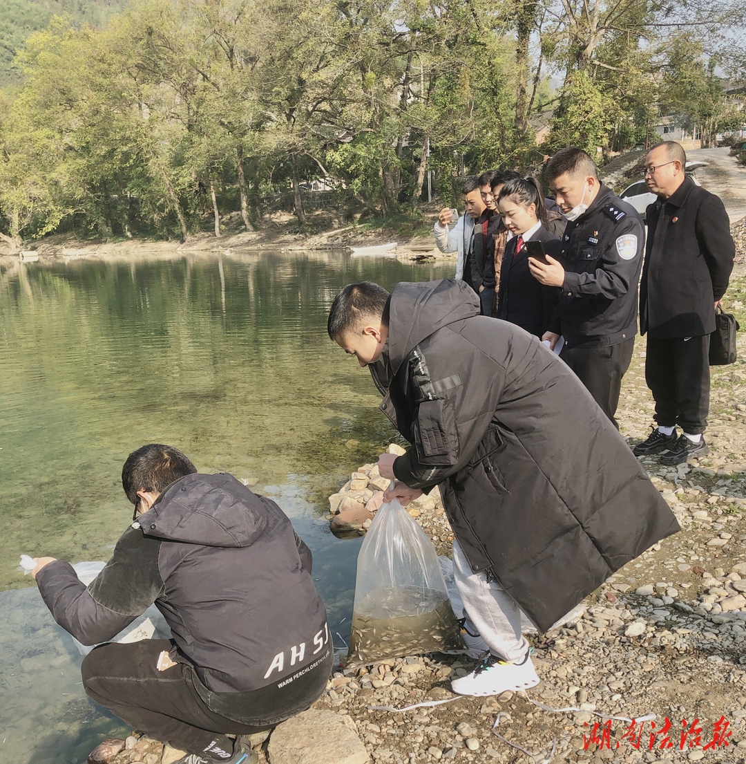 龍山檢察：非法捕撈觸犯法律 生態(tài)修復將“功”補過