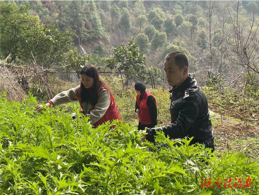 辰溪辰陽鎮(zhèn)開展“鏟除毒品 造福人民”踏查宣傳活動