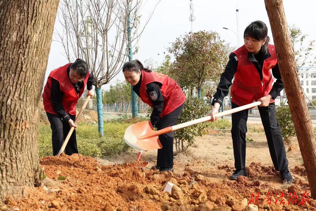 益陽高新公安：為“口袋公園”添新綠