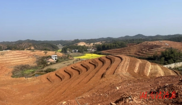 湘潭縣掀起全民義務(wù)植樹活動(dòng)熱潮 ——種植茶油致富樹