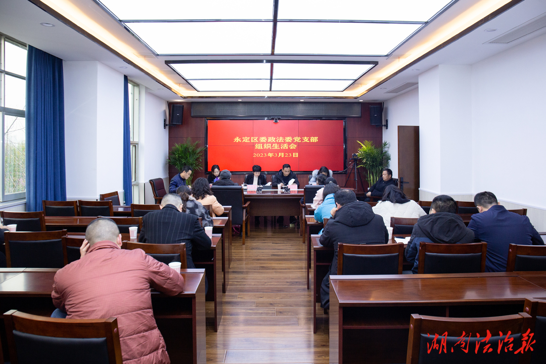 永定区委政法委党支部召开2022年度组织生活会