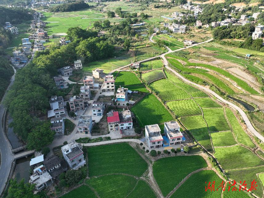 ​沱江镇塘头坪村：党建引领基层社会治理