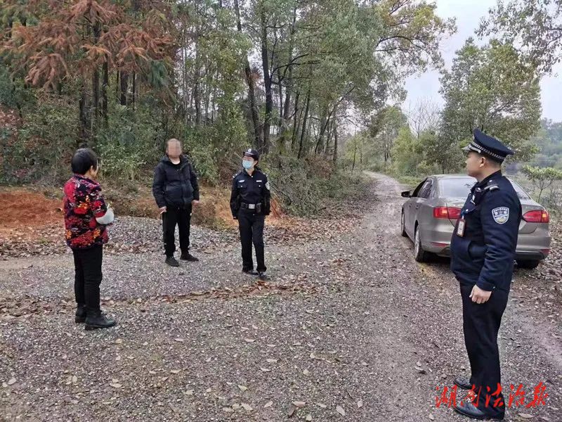 牛群“離家出走”，民警上演“尋牛記”