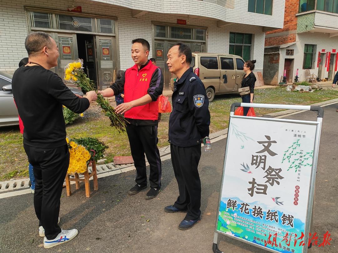 邵阳生态产业示范园:3600支鲜菊花助力清明更“清明”_邵阳头条网