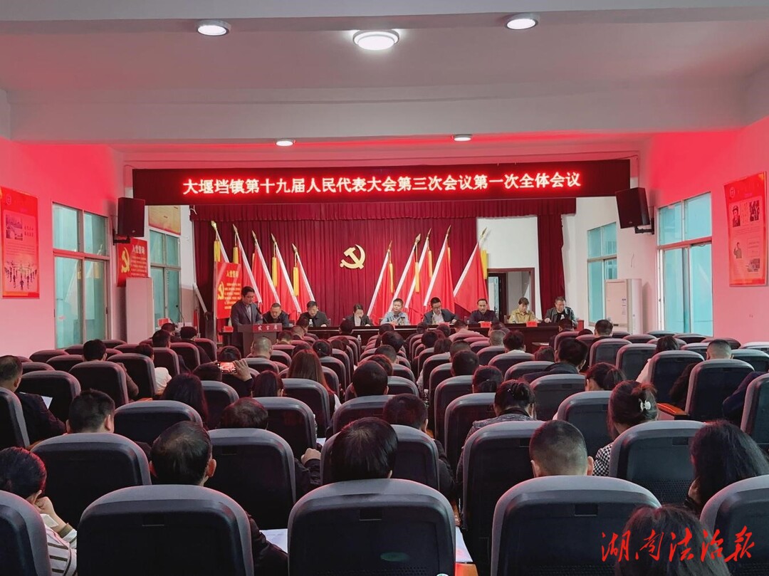 大堰垱镇召开第十九届人民代表大会第三次会议