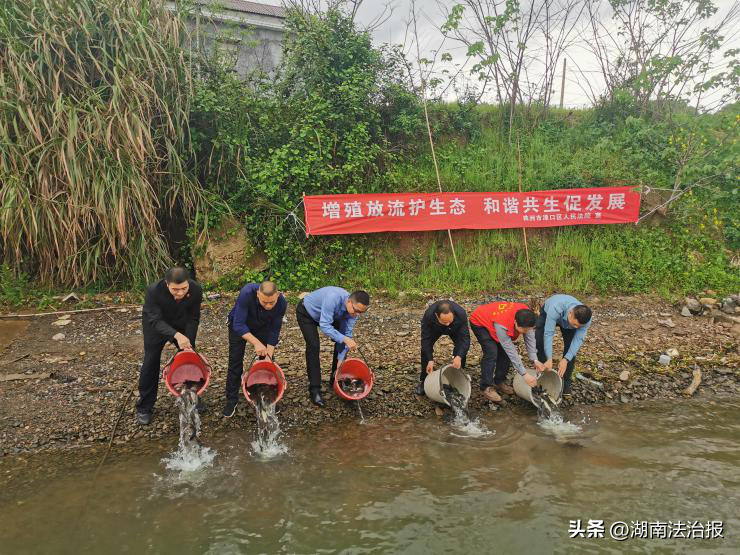 生態(tài)淥湘 法院在行動