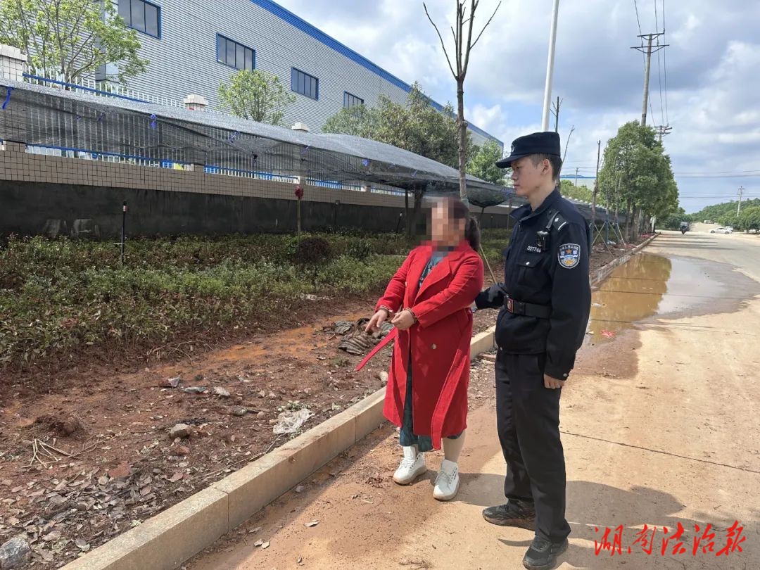 绿化苗木一夜“失踪”，衡山警方快速破案!