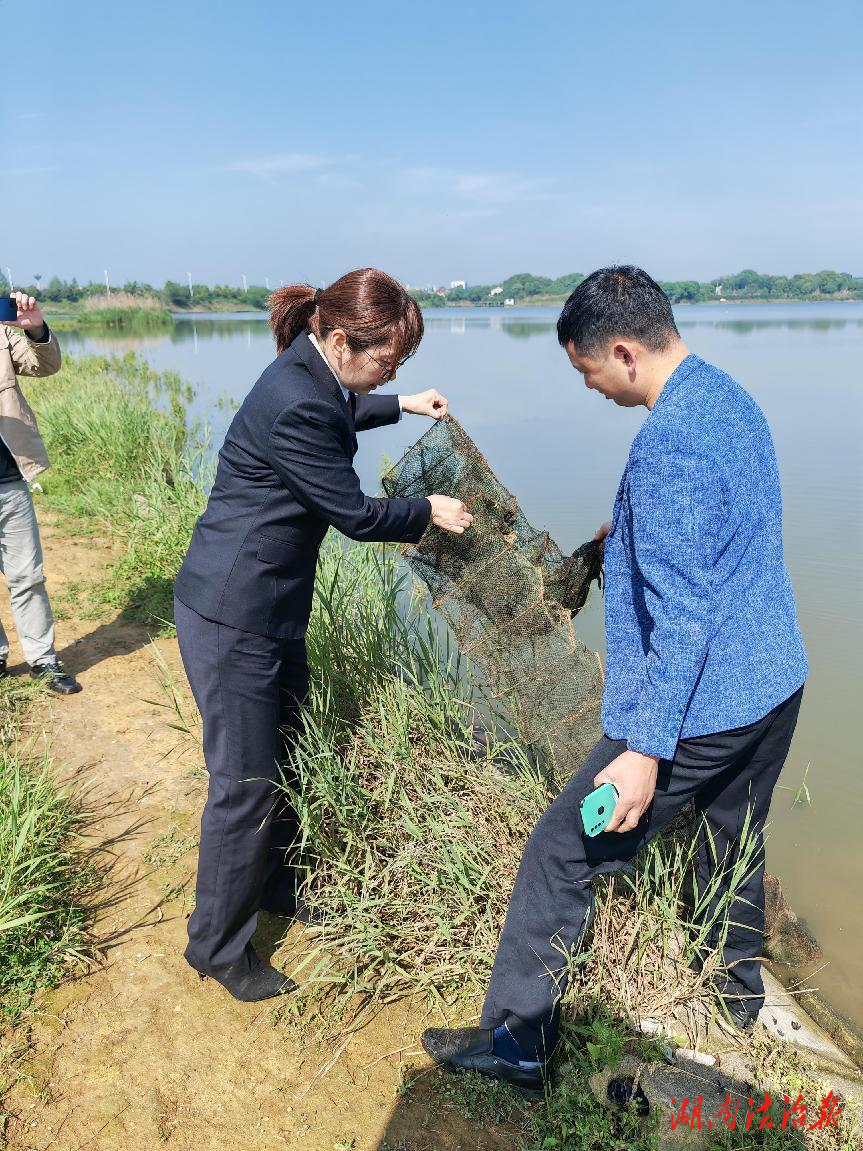 “林長+檢察長”同心共助濕地治理