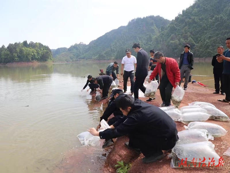 麻陽檢察院開展增殖放流活動助力修復生態(tài)環(huán)境