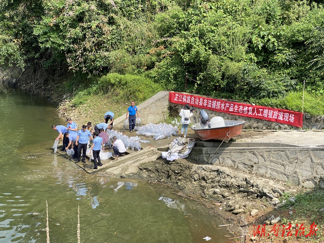 “捕魚”變“補魚”，檢察公益訴訟護航生態(tài)修復(fù)