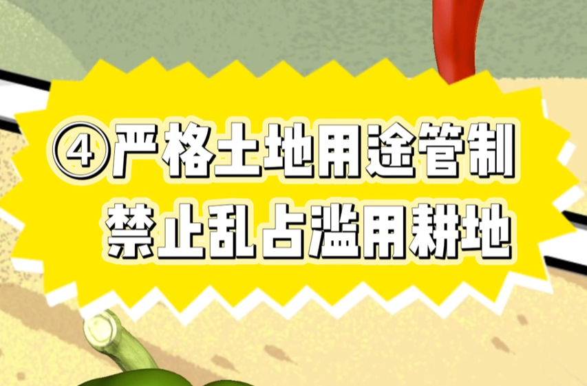 湖南自然資源普法 椒哥碰辣妹‖嚴格土地用途管制 禁止亂占濫用耕地