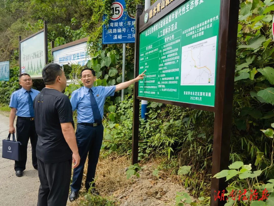 張家界首個(gè)“檢察公益訴訟案件替代性生態(tài)修復(fù)人工造林示范點(diǎn)”設(shè)立