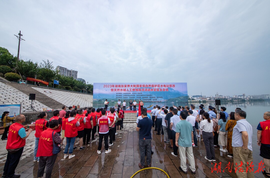 永定區(qū)僑聯(lián)聯(lián)合思善橋社區(qū)組織社會各界人士開展增殖放流活動