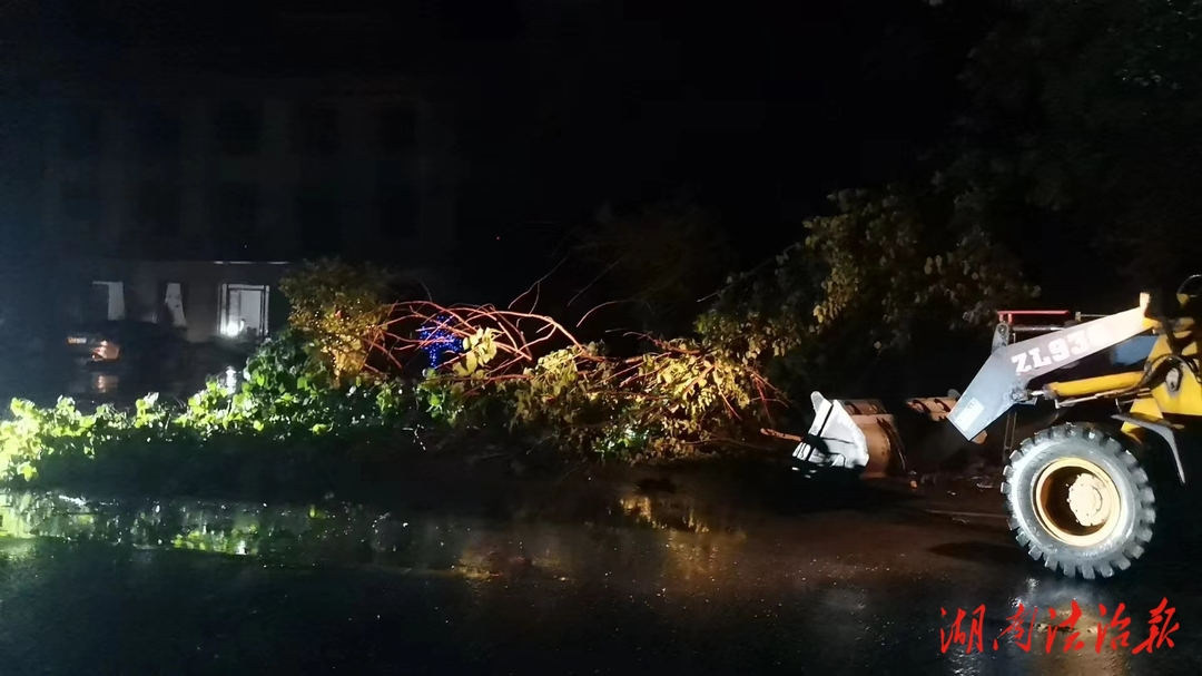 大樹被大風刮倒堵國道 鎮(zhèn)村干部及時處置保通行