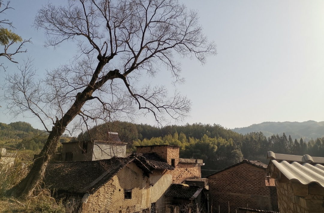 何染村：黨徽閃耀小山村