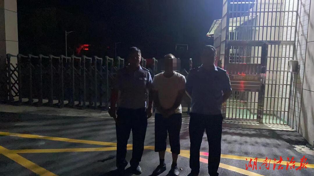 洞口公安抓获一名网上在逃人员_邵阳头条网