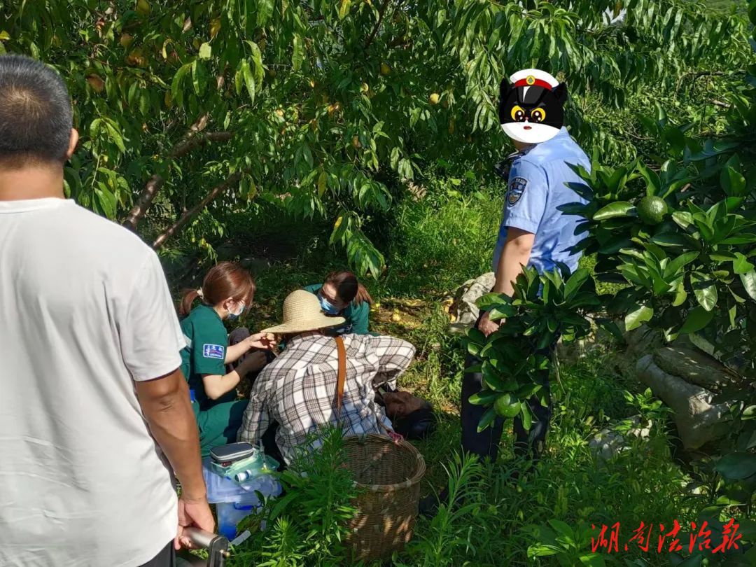 守護(hù)當(dāng)“夏”，慈利公安暖心為民服務(wù)