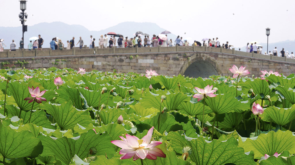 首個全國生態(tài)日！綠水青山就是金山銀山