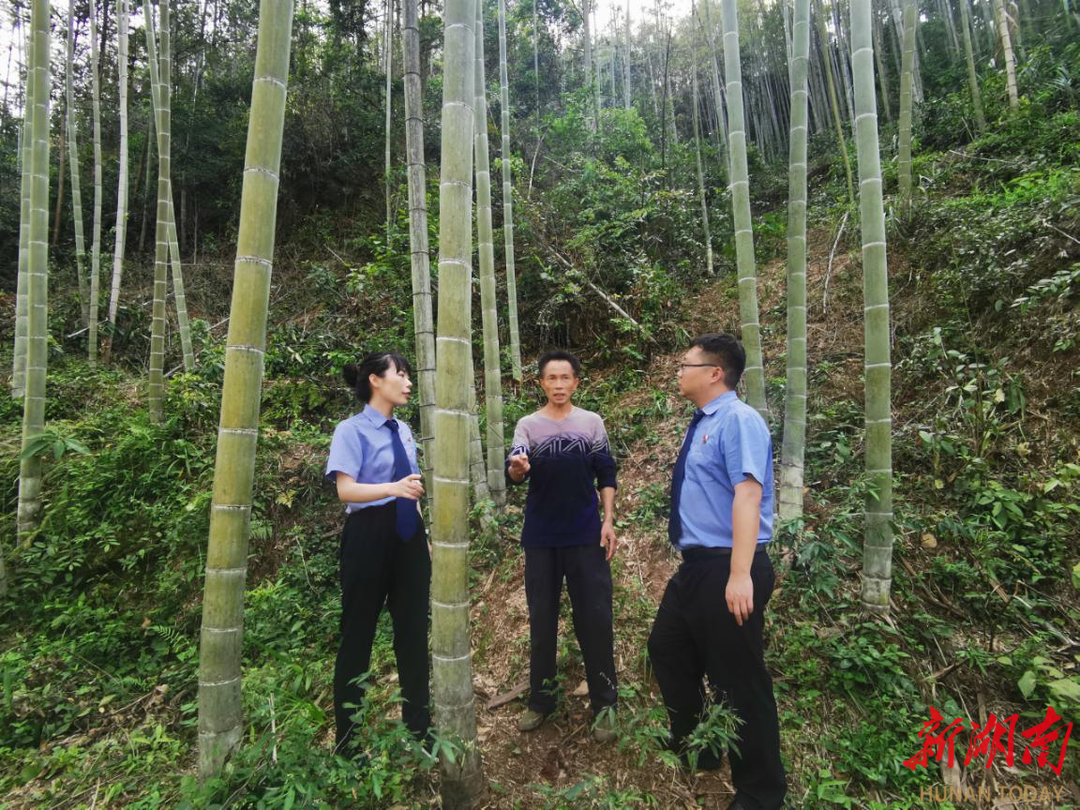 攸縣檢察院“三個(gè)走進(jìn)”，以“檢察藍(lán)”守護(hù)“生態(tài)綠”