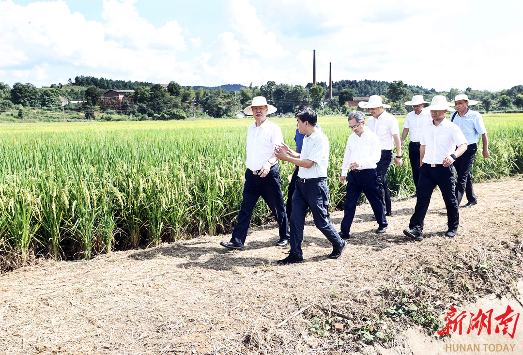 毛偉明：以創(chuàng)新為筆 以大地作畫 接力續(xù)寫種業(yè)“翻身仗”的美好篇章