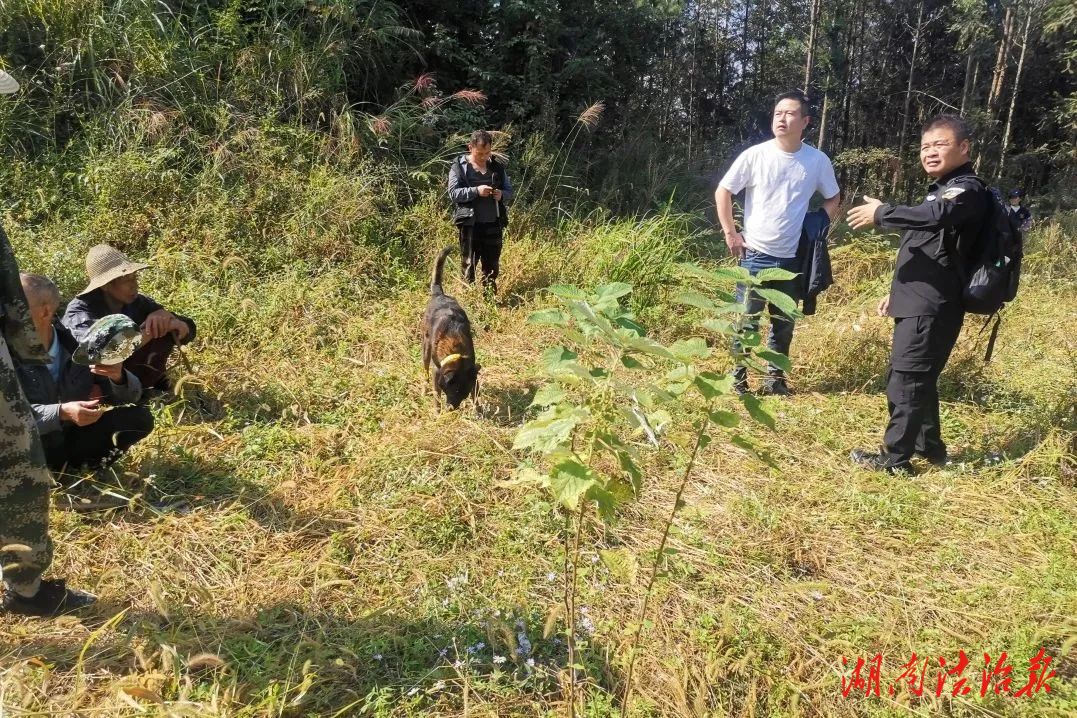 老人進山采野菌失聯(lián)，警民聯(lián)手30小時成功搜救