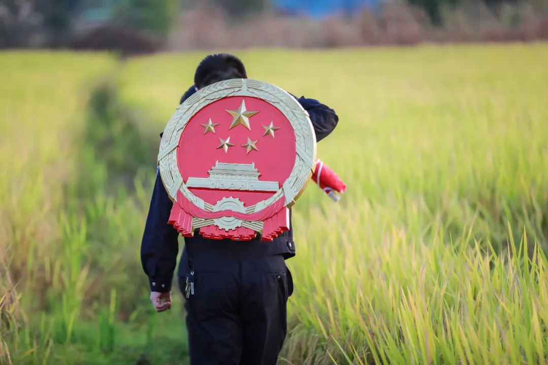 “青石”如砥，“楓景”如畫