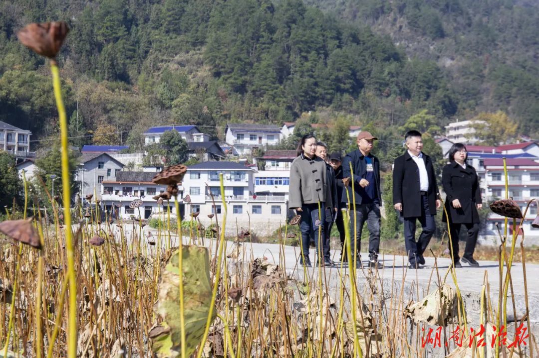 全國(guó)人大代表寧芬芳調(diào)研永定區(qū)法院基層社會(huì)治理工作