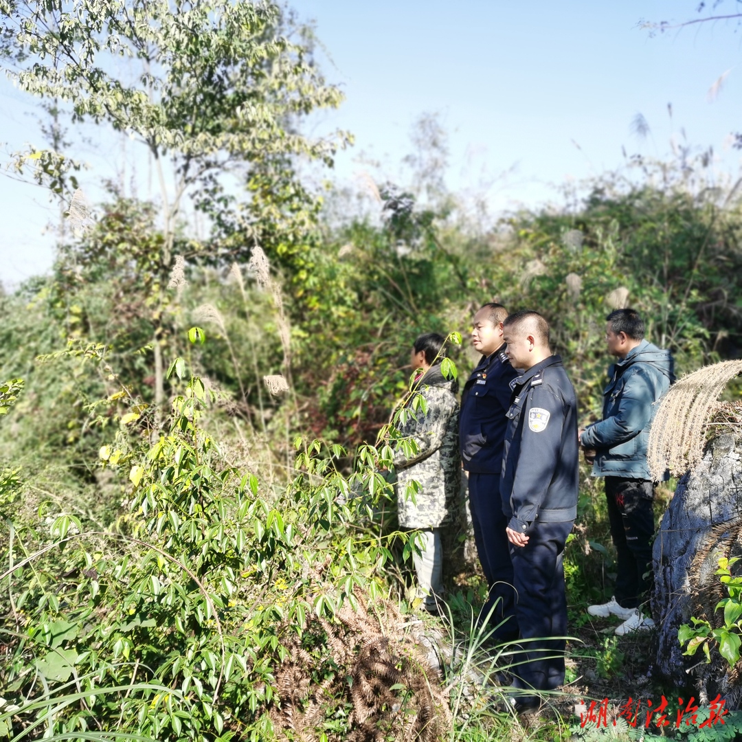 龙山森林公安联合多部门开展巡河工作