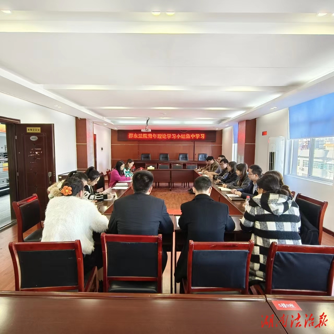 邵东法院组织开展青年理论学习小组集中学习