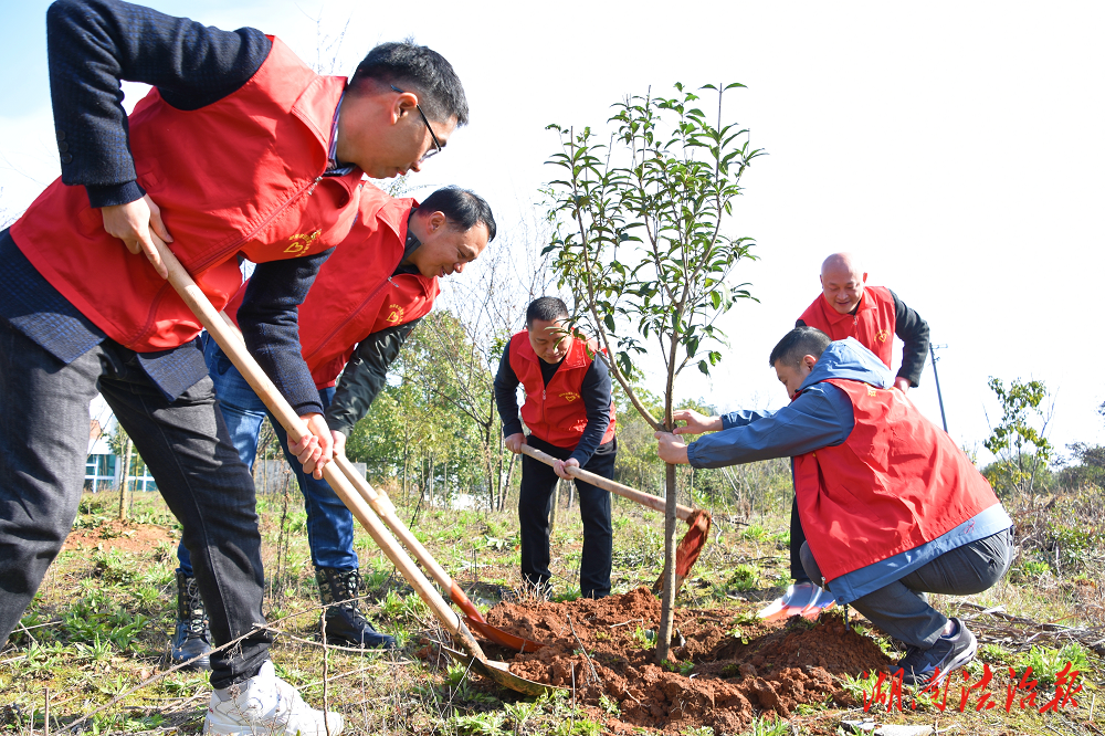 邵陽(yáng)市退役軍人事務(wù)局開(kāi)展2024年 “相約春天 共植希望”義務(wù)植樹(shù)活動(dòng)