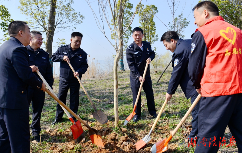 常德公安交警義務(wù)植樹添新綠