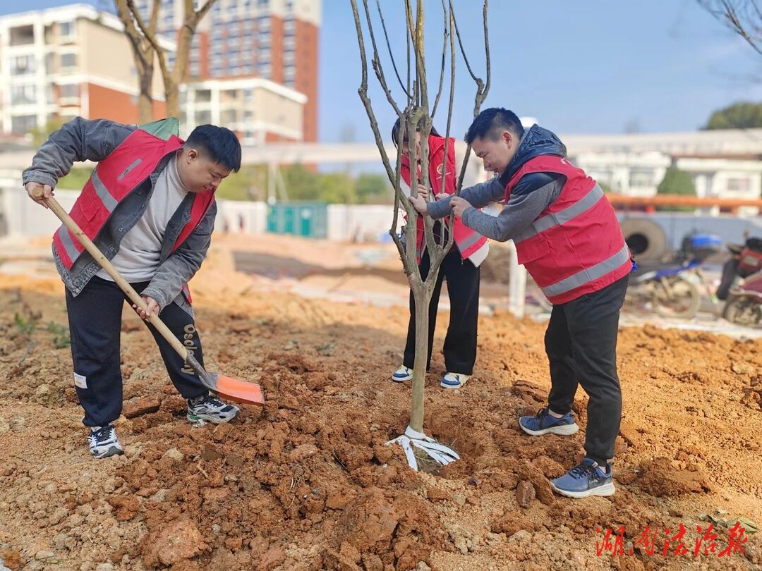 共“樹(shù)”青春，護(hù)綠先行！臨澧檢察舉行義務(wù)植樹(shù)主題活動(dòng)