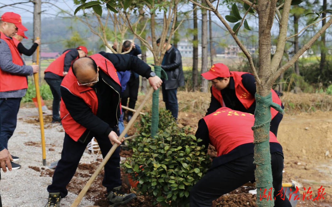 添綠正當(dāng)時(shí) 新邵縣檢察院開展義務(wù)植樹活動(dòng)