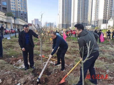 義務(wù)植樹助力生態(tài)建設(shè)