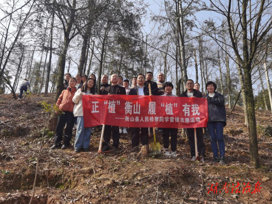 正“植”衡山 履“植”有我——衡山縣檢察院開展主題黨日植樹活動