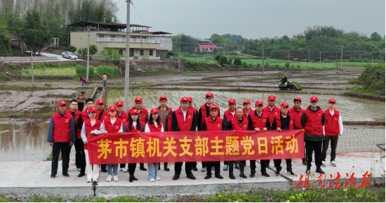 衡南縣茅市鎮(zhèn)：人居環(huán)境大整治 黨員示范見行動