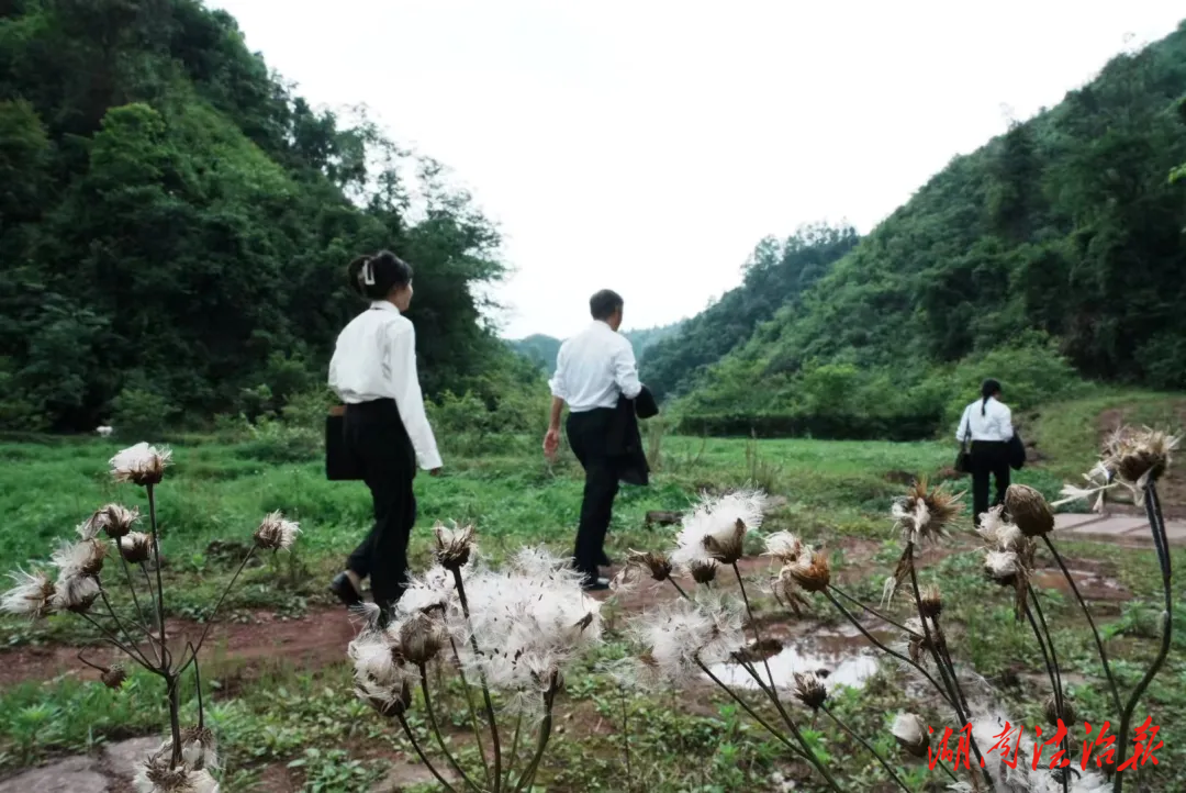 法治“蒲公英”,讓希望在田野間落地生根——麻陽法院司法救助調(diào)查實(shí)記