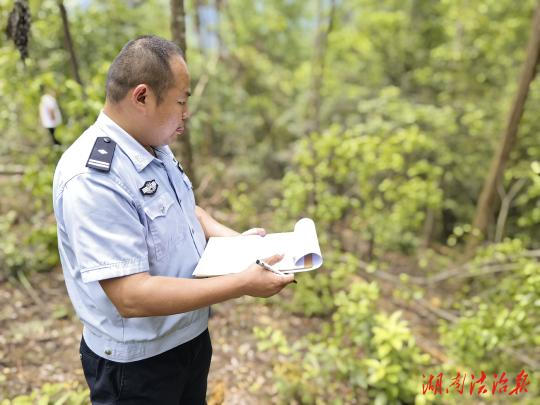 龍山森林公安守護(hù)生物多樣性，共建綠色家園